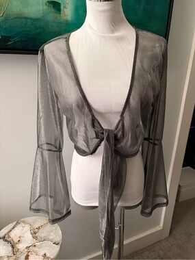 AKIRA Sheer Mesh Tie-Front Crop Top in Metallic Gray